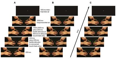 A new perceptual paradigm to investigate the visual remapping of others’ tactile sensations onto one’s own body shows “mirror touch” for the hands